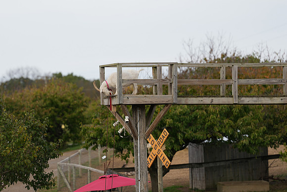 DSC00005
