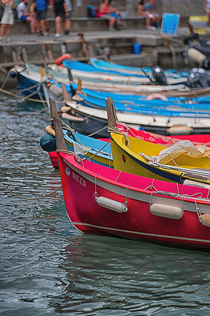 DSC00495t