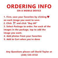 Ordering-on-mobile