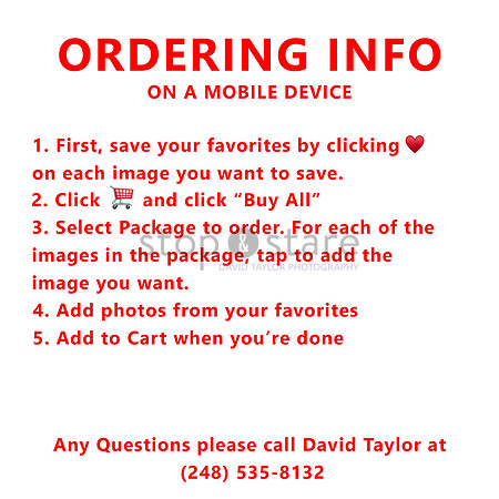 Ordering-on-mobile