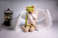 DSC00115t